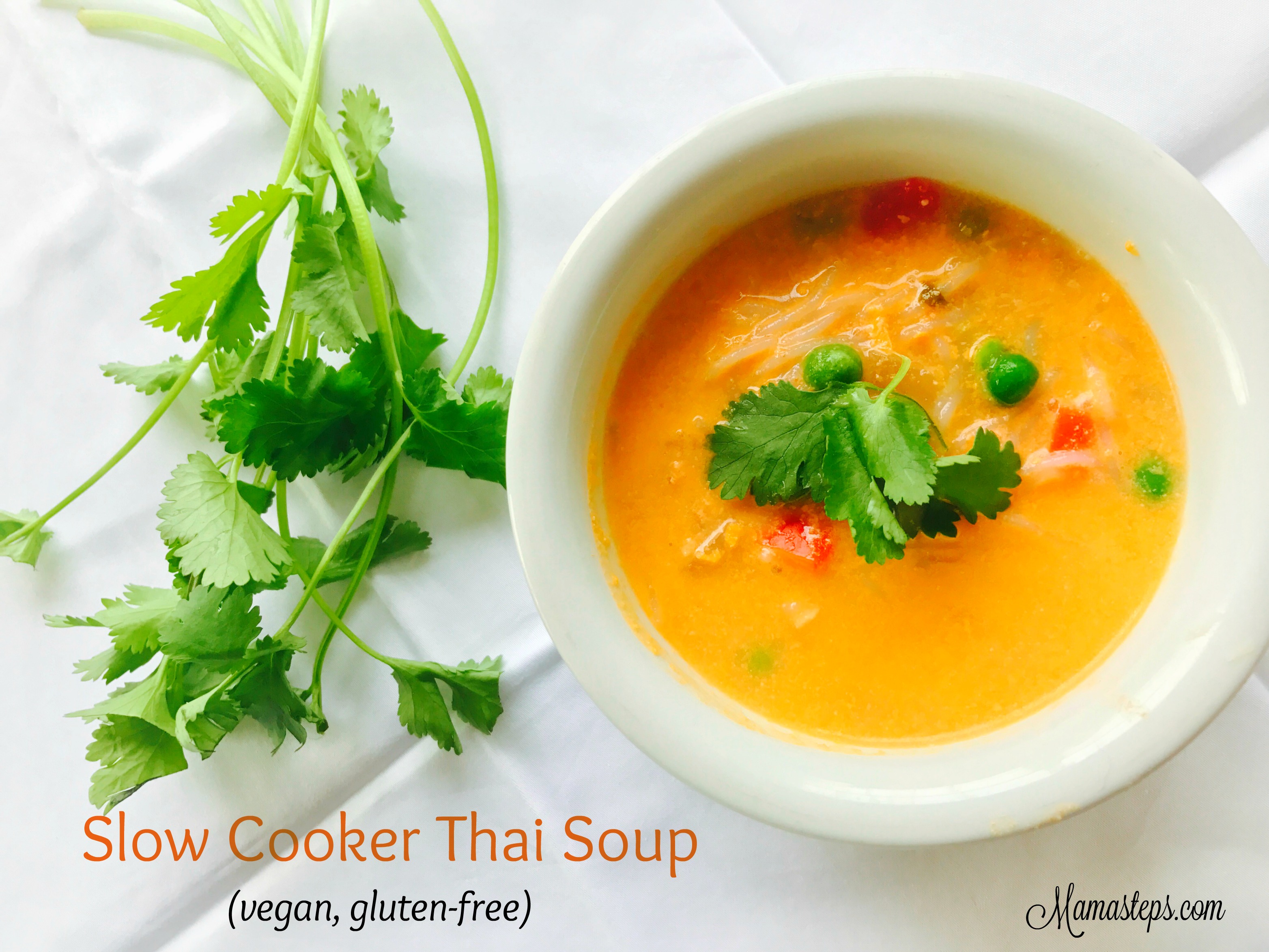 Slow Cooker Thai Soup – mama steps